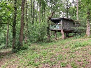 Unique off Grid Tree-House Stay in oak woodland - Longhope - 9