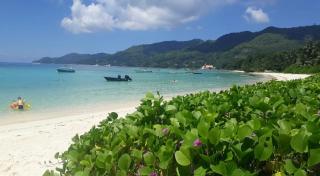 Royale Self Catering Apartments - Anse Royale - 3