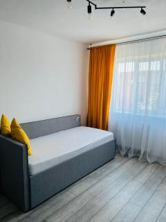 Miha modern and central apartament - Arad - 1