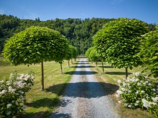 Bills Lodge, le plaisir de la rivière à 2 minutes du centre! - La-Roche-en-Ardenne - 9