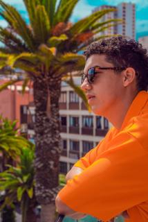 Hotel Tropical - 4