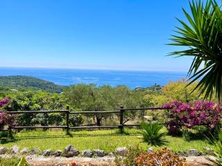 Casale Regina - Marina di Camerota - 5