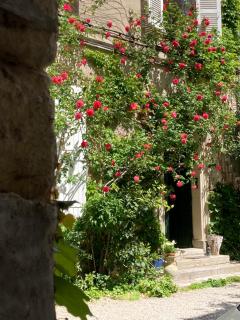 Cocooning Avignon - Avignon - 8