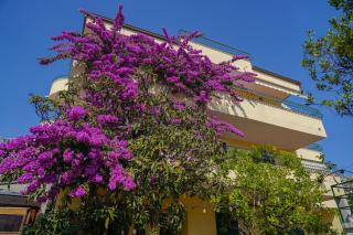 Villa Lean - Makarska - 1