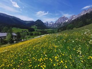 Helle Ferienwohnung Saunahaus - Annaberg im Lammertal - 7