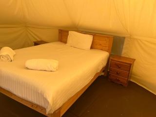 Tipi - Pengarreg - Aberystwyth - 3