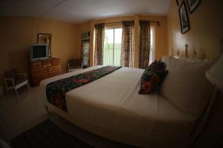 Moonrisevillas - Negril - 6
