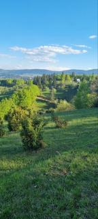 Apartman Studio Teona - Nova Varoš - 2