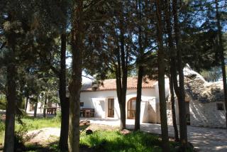 B&B Parco del Lamione - Gioia del Colle - 1