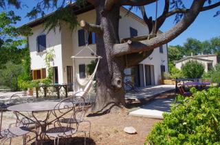 Le Grand Cèdre - 2 Chambres d'hôtes - Sud Ardèche - 7