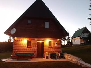 House in forest - 5