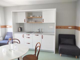 Baron Apartments Sušice - Sušice - 7