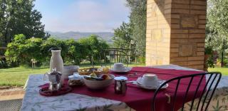 Agriturismo Pozzo dei Cocci - Morleschio - 4