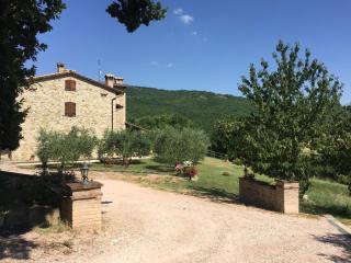 Agriturismo Pozzo dei Cocci - Morleschio - 3