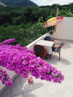 Apartman Lenka - Sutomore - 1