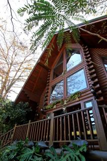 Sun Moon Lake Full House Resort - 0