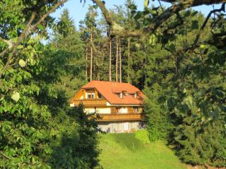 Country House Apat - Šoštanj - 8