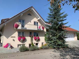 BodenSEE Apartment Tettnang APFELLIEBE - Tettnang - 0