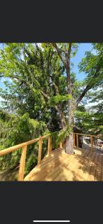Apartments Kokl - Adults only - Radovljica - 3