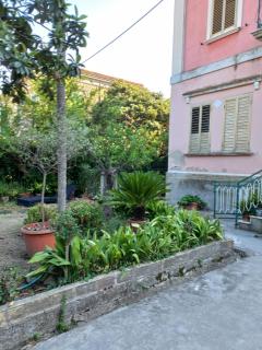 GREEN HOUSE - Vasto - 3