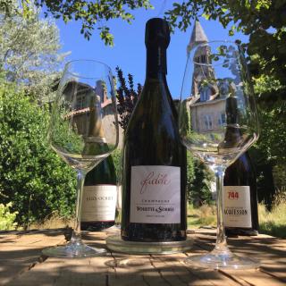 Le Jardin des Lys - 3