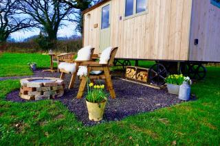 Little Ash Glamping - Luxury Shepherd's Huts - Newton Abbot - 4