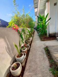 Bali Yogi - Amed - 6