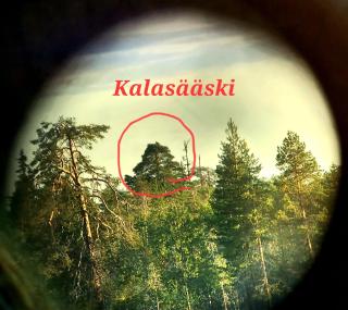 Salen Saunamökki - Ranua - 9
