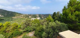 Blueberry - Ayios Nikitas - 9