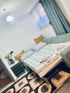 Boutique Suite 2 - Cluj-Napoca - 1