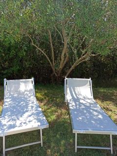 Villa Poggio al Sole Bio Agriturismo private pool - San Rocco a Pilli - 6