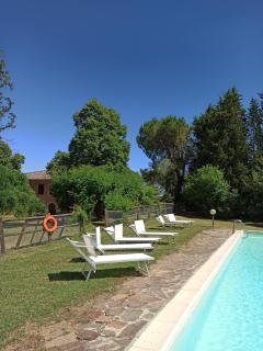 Villa Poggio al Sole Bio Agriturismo private pool - San Rocco a Pilli - 7