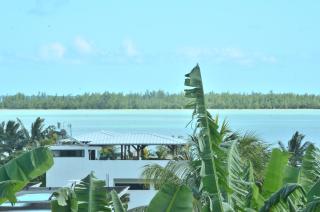Butterfly apartment - La Gaulette - 7