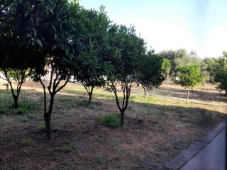 Guesthouse da Caterina - 7