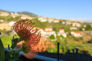 Vila Morning Sun - 3