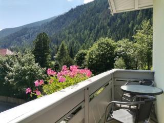 AH Carinthia Mallnitz - Carinthia Appartements - Mallnitz - 3