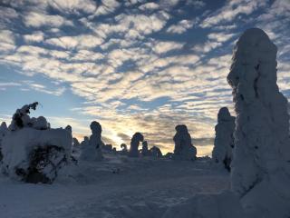 Näköalahuoneisto 426 - Syöte - 7