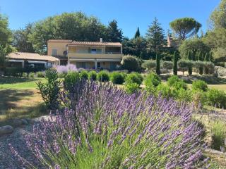 Les Cerises - Saint-Saturnin-lès-Apt - 8