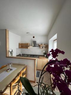 DOLOMITI HOUSE 2 - Fiera di Primiero - 8