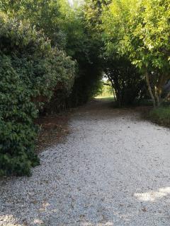 Au Bel Air - Clermont-Pouyguilles - 1