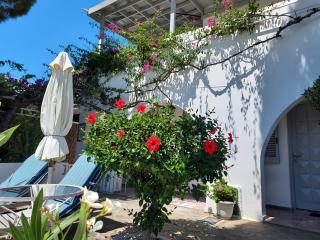 Villa Arni Andros - Βίλα ΑΡΝΗ - Batsi - 3