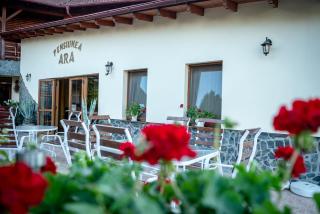 Pensiunea Ara - Alba Iulia - 8