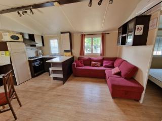 Grand Mobile home dans camping - Mimizan - 0