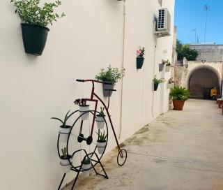 Cortile Novecento - Ugento - 8