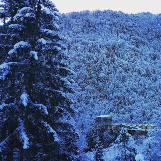 Macahel Maral Otel Ve Restaurant - Artvin - 4