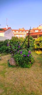 Pisos Vistalegre 2A con jardín tranquilos cerca del mar - Sanxenxo - 6