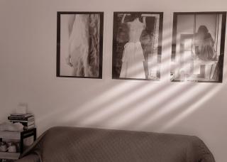 DomusAuroom, RELAX nel cuore della Versilia - Pet Friendly - 3