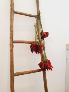 La Noscia - Le Dimore di Thesia - 6