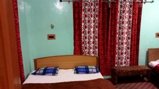 Queen Palace guest house - Srinagar - 1