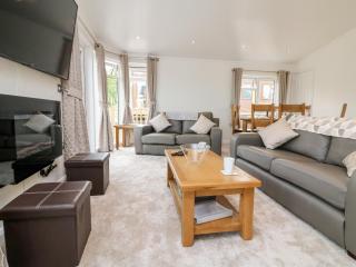 Ridge's Retreat No 7 Kigbeare Lodges - Okehampton - 6